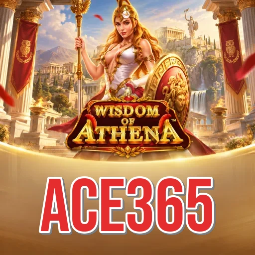 ace365 Install Successful