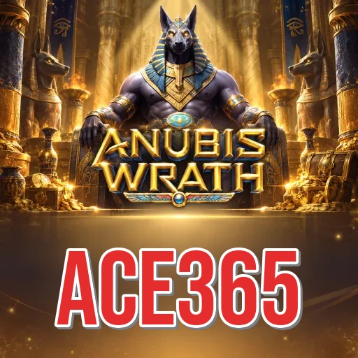 Privacy & Security ace365